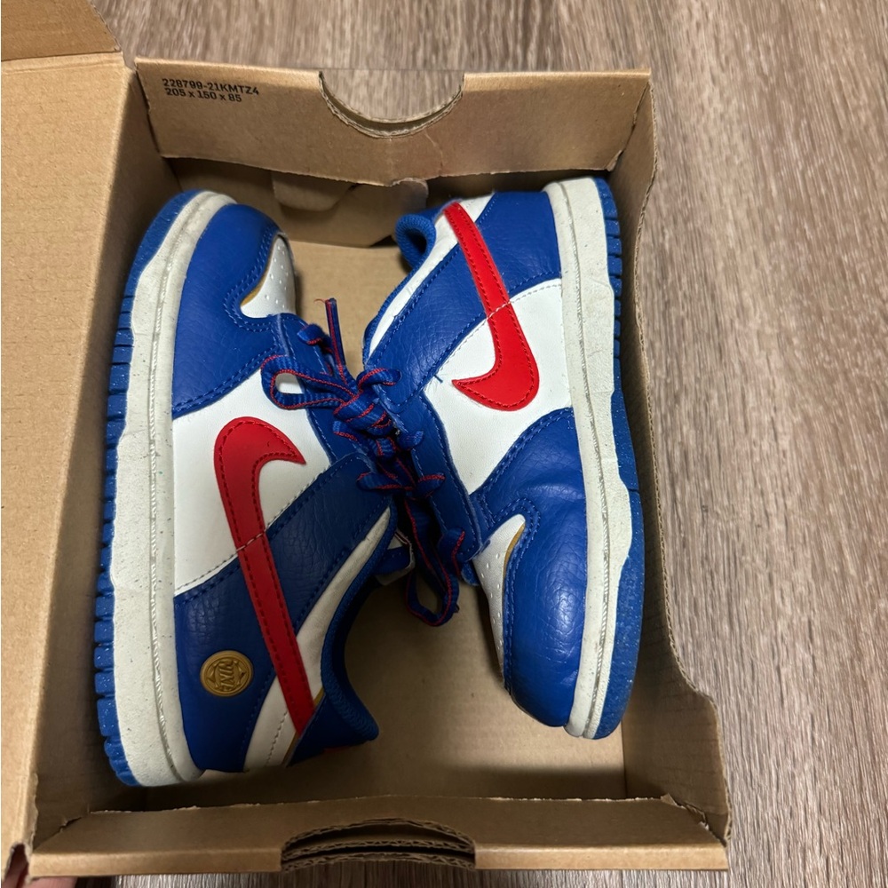 Toddler Nike Dunks